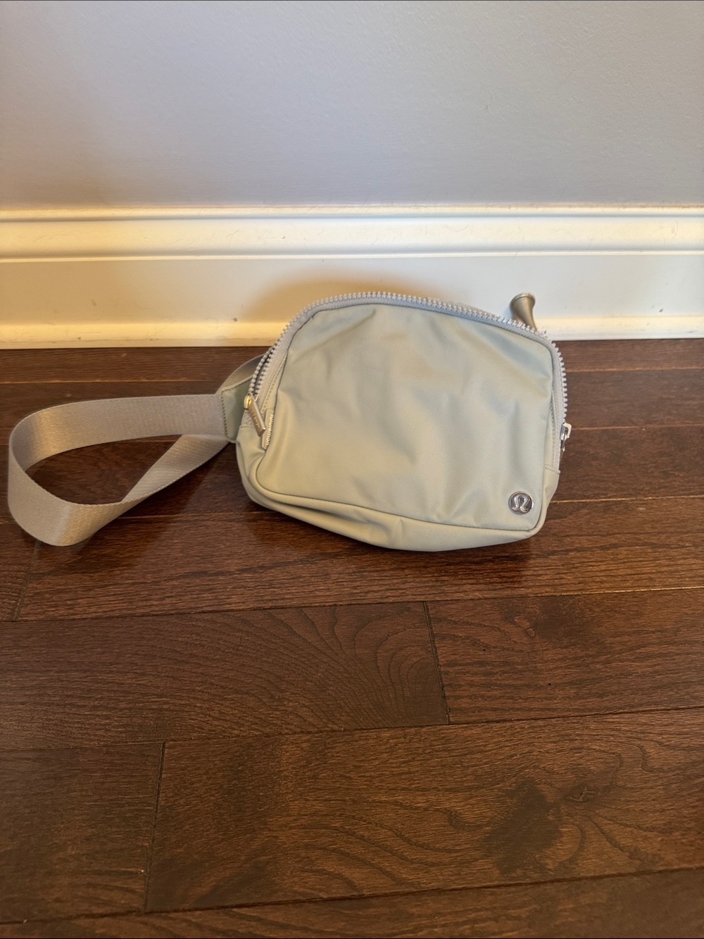 Lulu Compact Crossbody Belt Bag in Gray